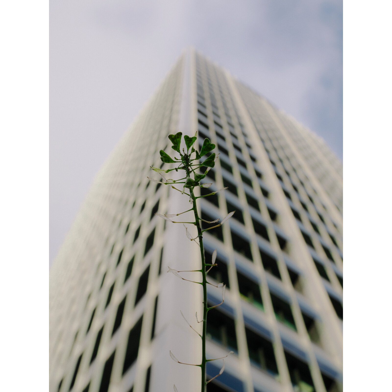 OM SYSTEM OM-3 + 12-45/4.0 PRO