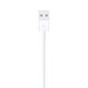 Apple Lightning auf USB Kabel 1m