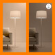 Philips WIZ Tunable White Smart LED-Lampe 50W