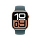 Apple Watch 42mm Sportband S/M seegrün