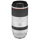 Canon RF 100-500/4,5-7,1L IS USM