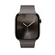 Apple Watch 46mm Gliederarmband schiefer
