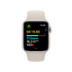 App Watch SE GPS+Cellular Alu 40mm Sportb. M/L polarstern