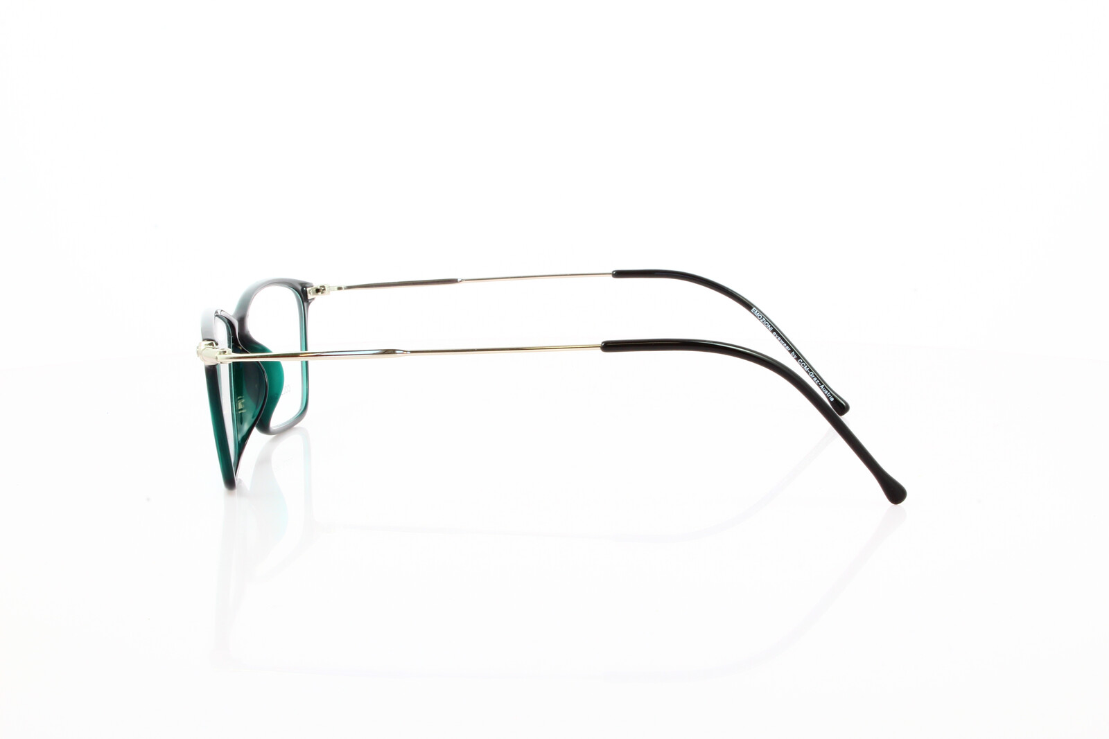 EM 24-0298 C05 Kunststoffbrille