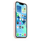 Apple iPhone 13 Silikon Case mit MagSafe kalkrosa