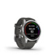 Garmin Fenix 7s Pro Solar slate silver 