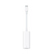 Apple USB-C Thunderbolt 2 Adapter