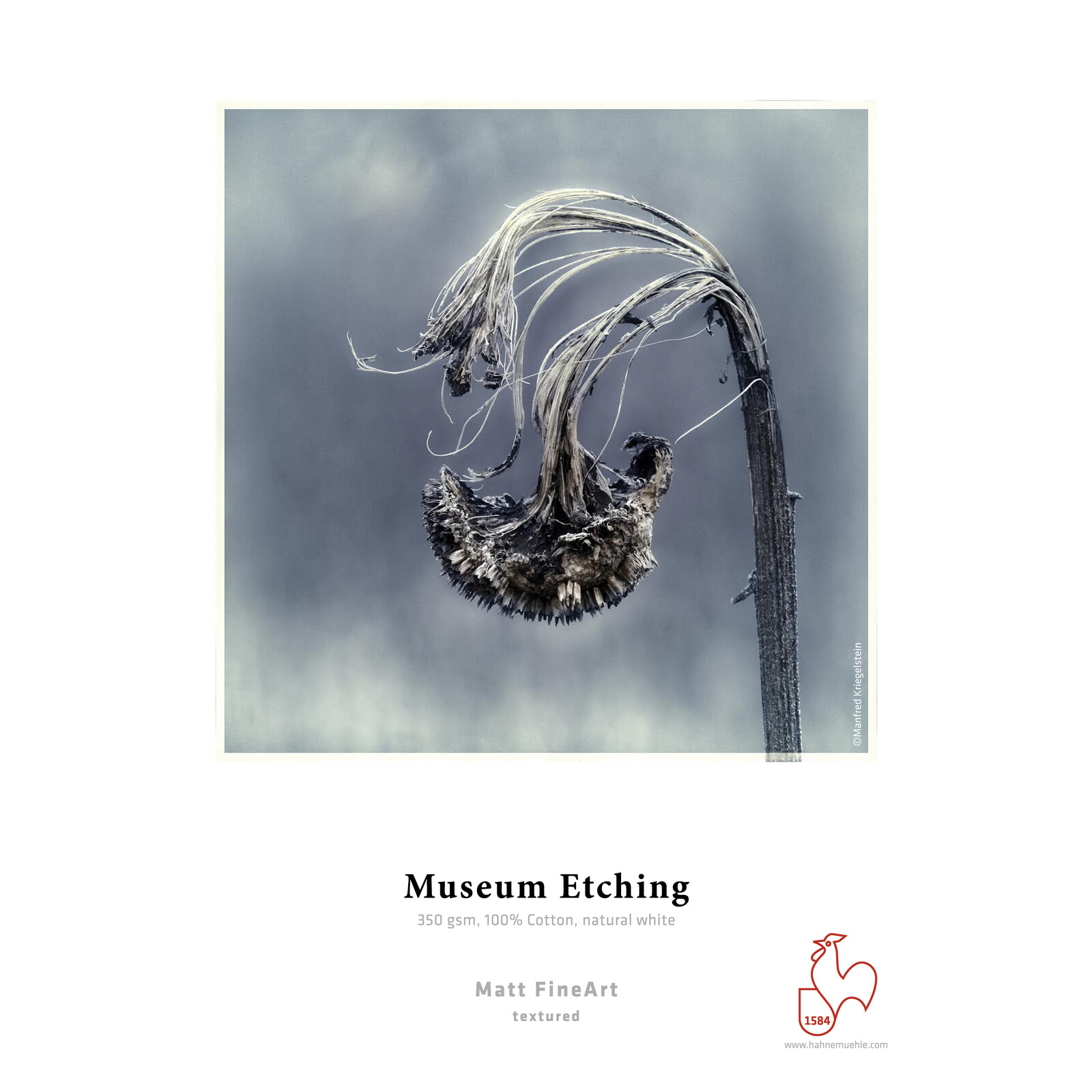 Hahnemühle Museum Etching 350gsm A4 25 Blatt 