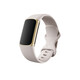 Fitbit Charge 5 Lunar White/ Soft Gold Stainless Steel
