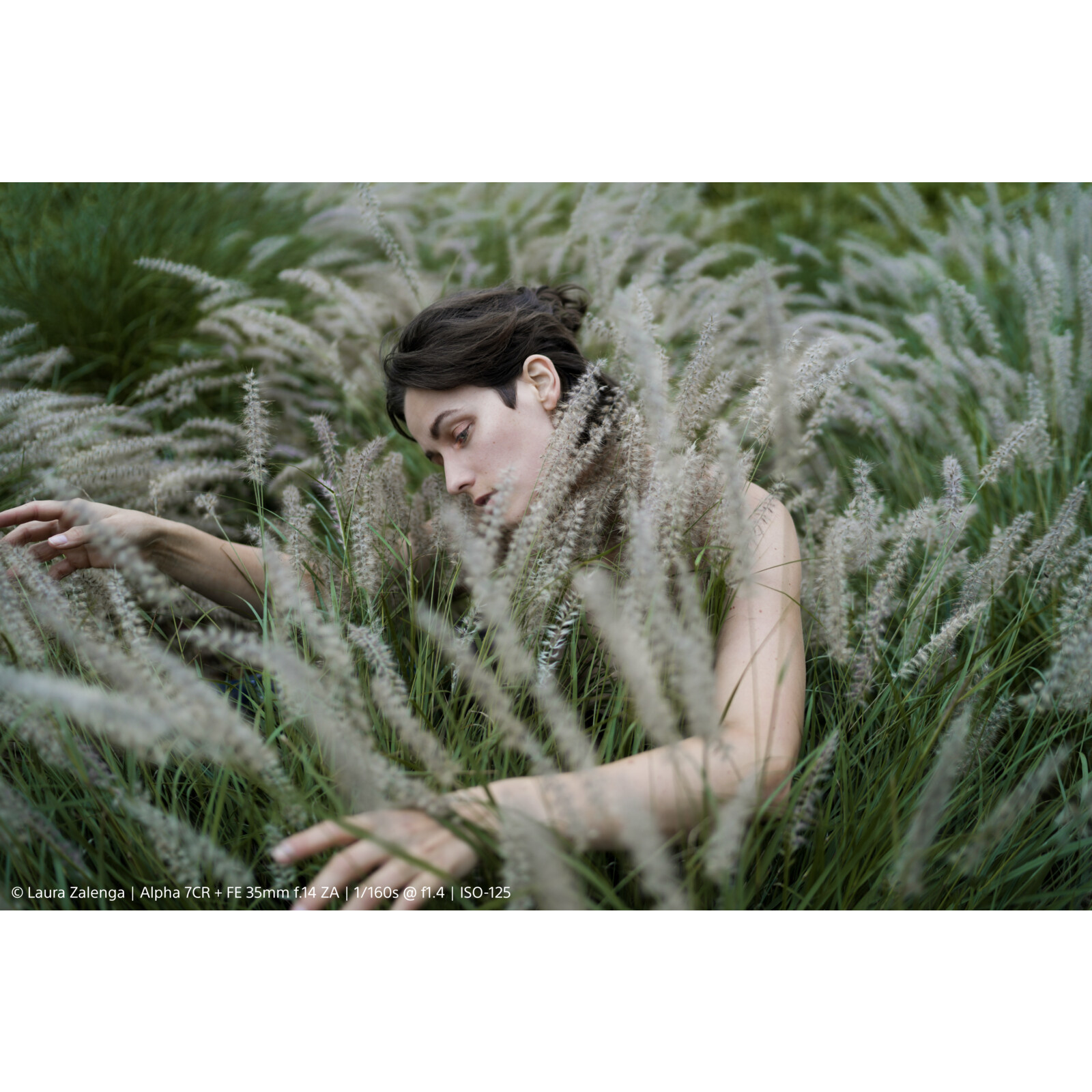 Sony PRO Alpha 7CR Gehäuse silver