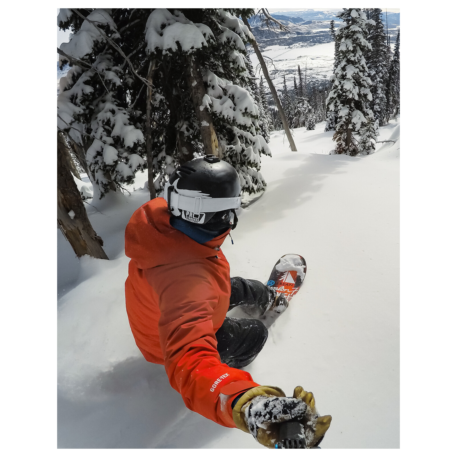 GoPro Curved + Flat Adhesive Mounts