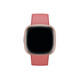 Fitbit Versa 4 Pink Sand /Copper Rose