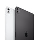 Apple iPad Pro 11" Wi-Fi + Cellular mit Nanotexturglas, 2TB, silber