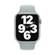 Apple Watch 42/44/45mm Sportarmband agavengrün