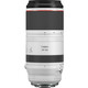 Canon RF 100-500/4,5-7,1L IS USM