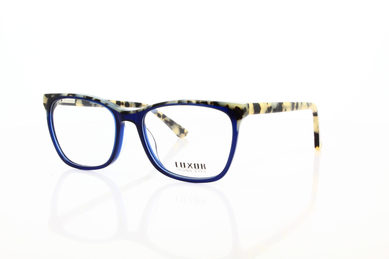 LX 309 C5 Herrenbrille Kunststoff