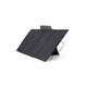 EcoFlow Solar Panel 400 Watt