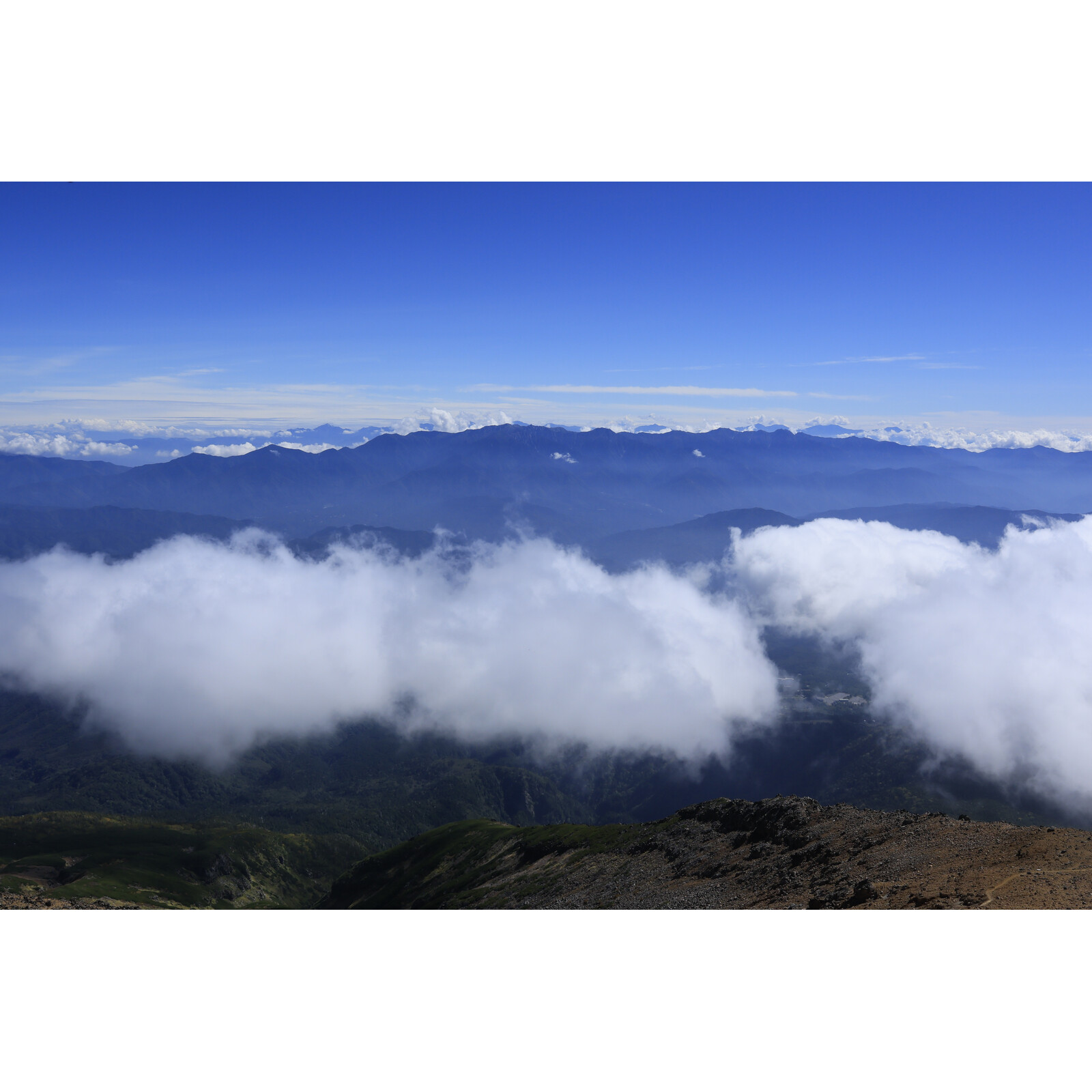 Sigma 23/1,4 DC DN Canon RF