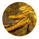 walimex pro Paillettenhintergrund 2,6x2,4m gold