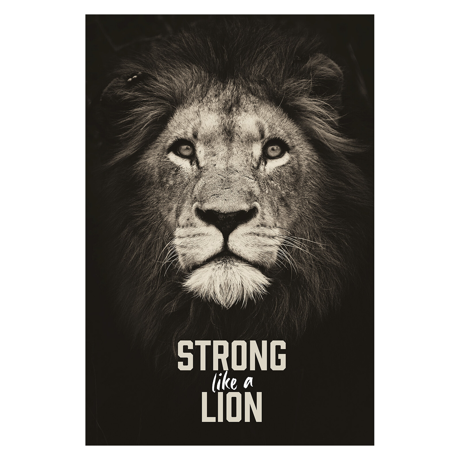 Wandbild "Strong like a lion"