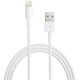 Apple Lightning auf USB Kabel 0,5 Meter