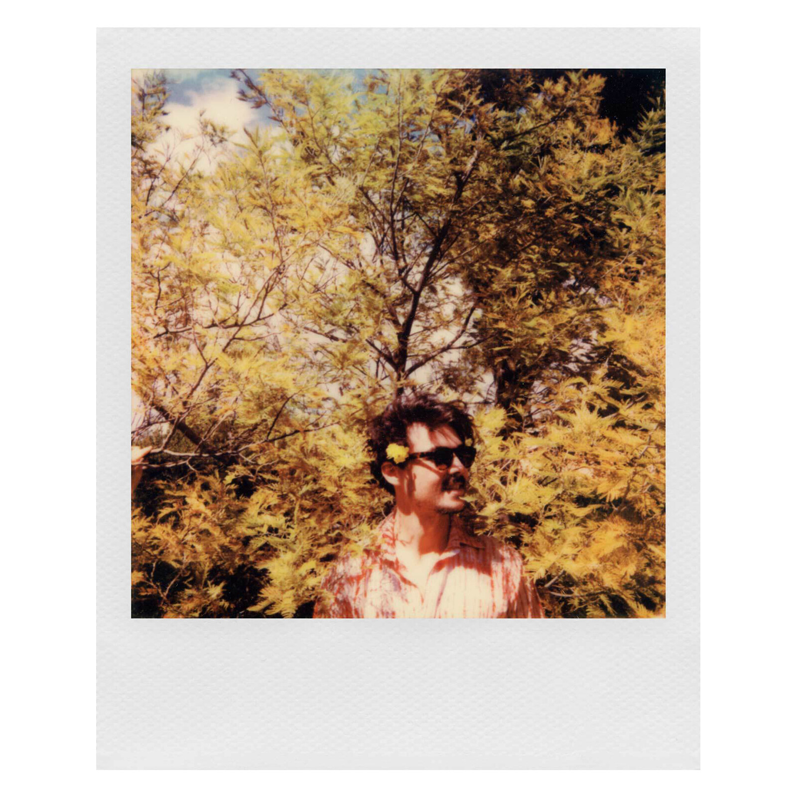 Polaroid 600 Film Color Doppelpack + Aufbewahrungsbox