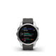 Garmin Fenix 7S silver/graphite