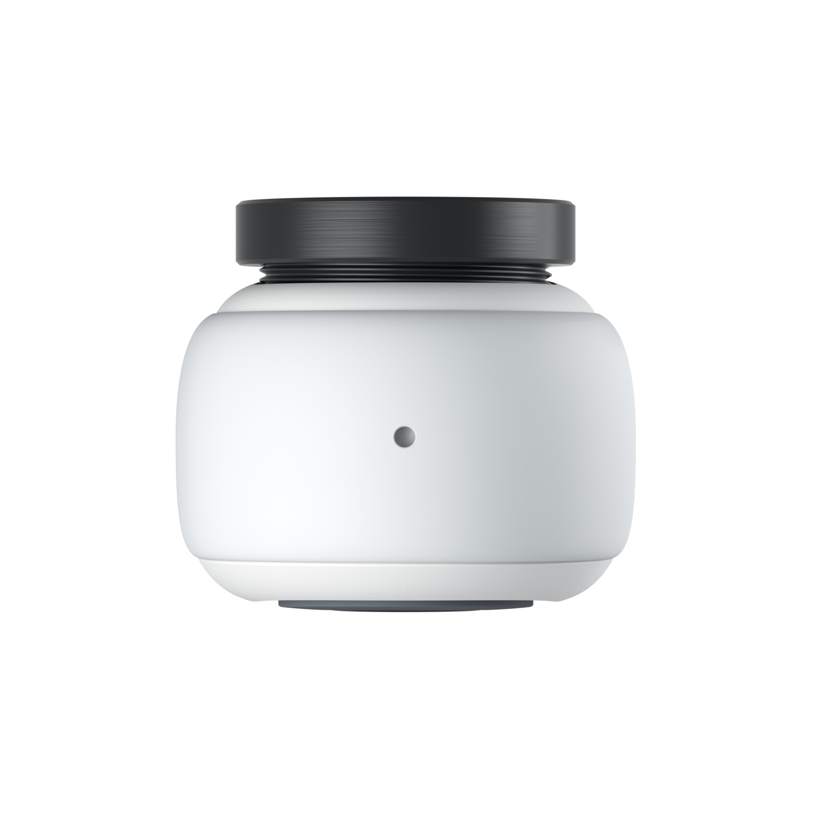 Insta 360 Go 2