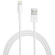 Apple Lightning to USB Cable 2m