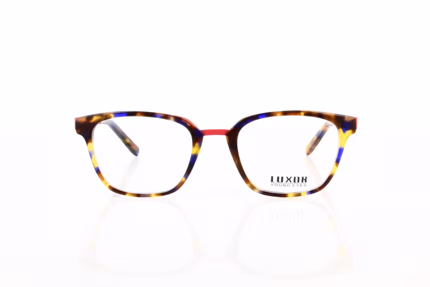 LX 307 C4 Damenbrille Kunststoff