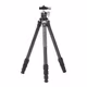 Leofoto RF-224C+ Ballhead LH-25 Stativ