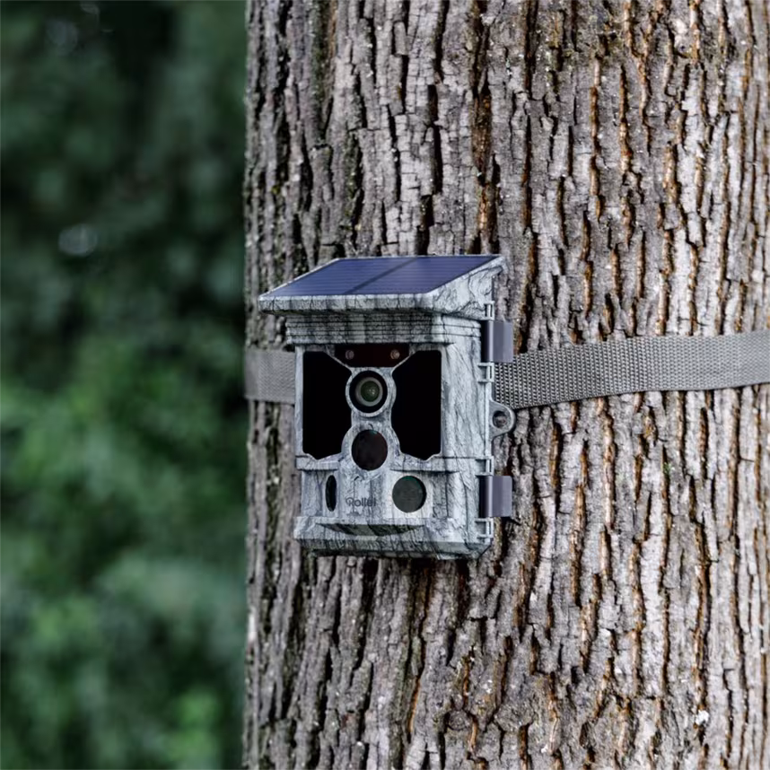 Rollei Wildkamera 4K WiFi Solar