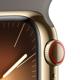 Apple Watch S9 GPS+Cellular Edelstahl gold 41mm M/L braun