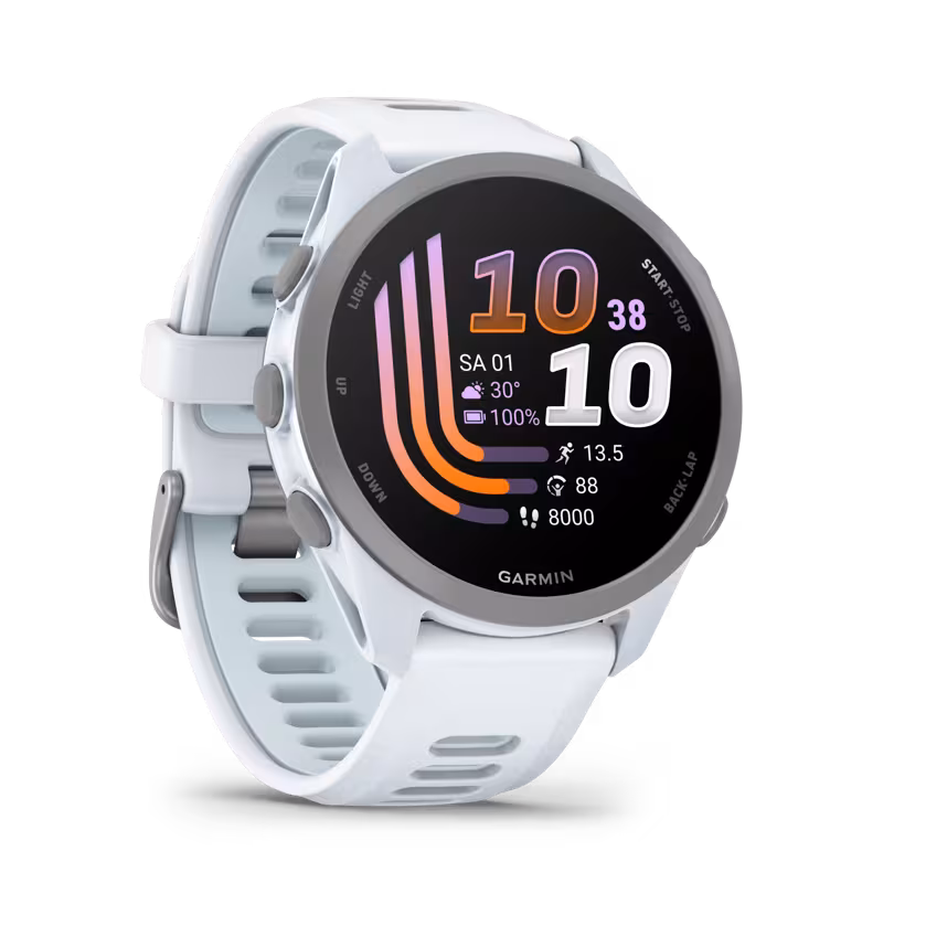 Garmin Forerunner 170 steinwei&szlig;/pudergrau