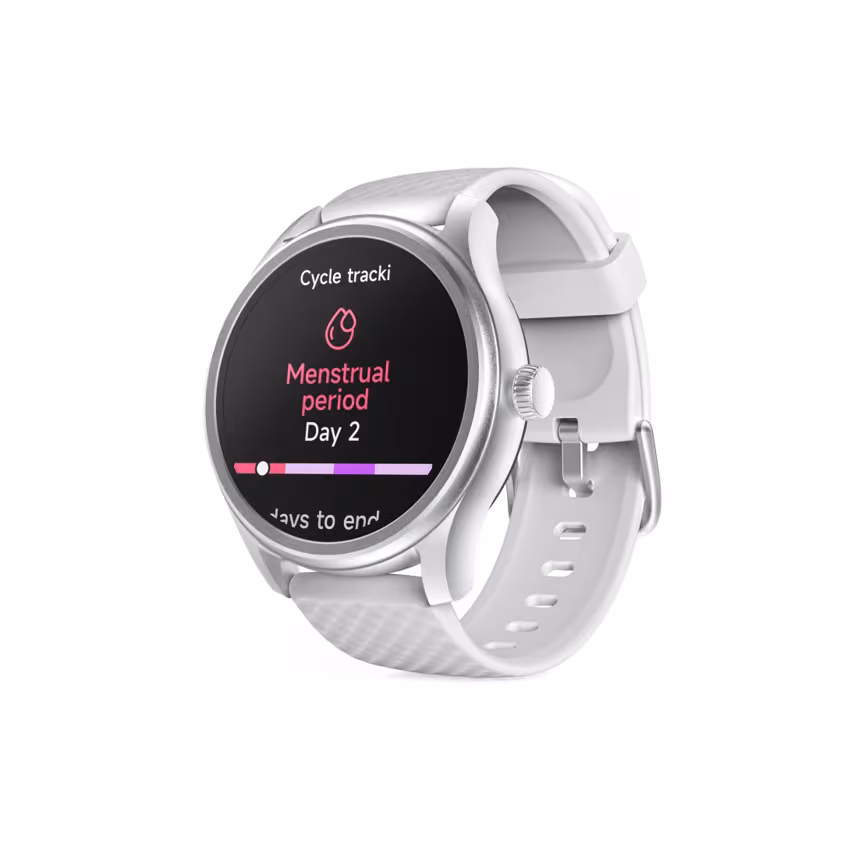 Ham Smartwatch 5010 silber/grau