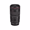 Canon RF 100/2.8 L MACRO IS USM