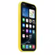 Apple iPhone 16 Pro Silikon Case mit Magsafe star fruit 