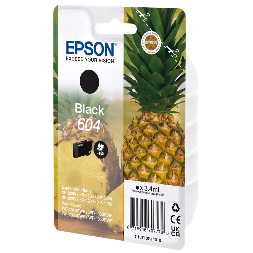 Epson Singlepack Ink Nr. 604 black