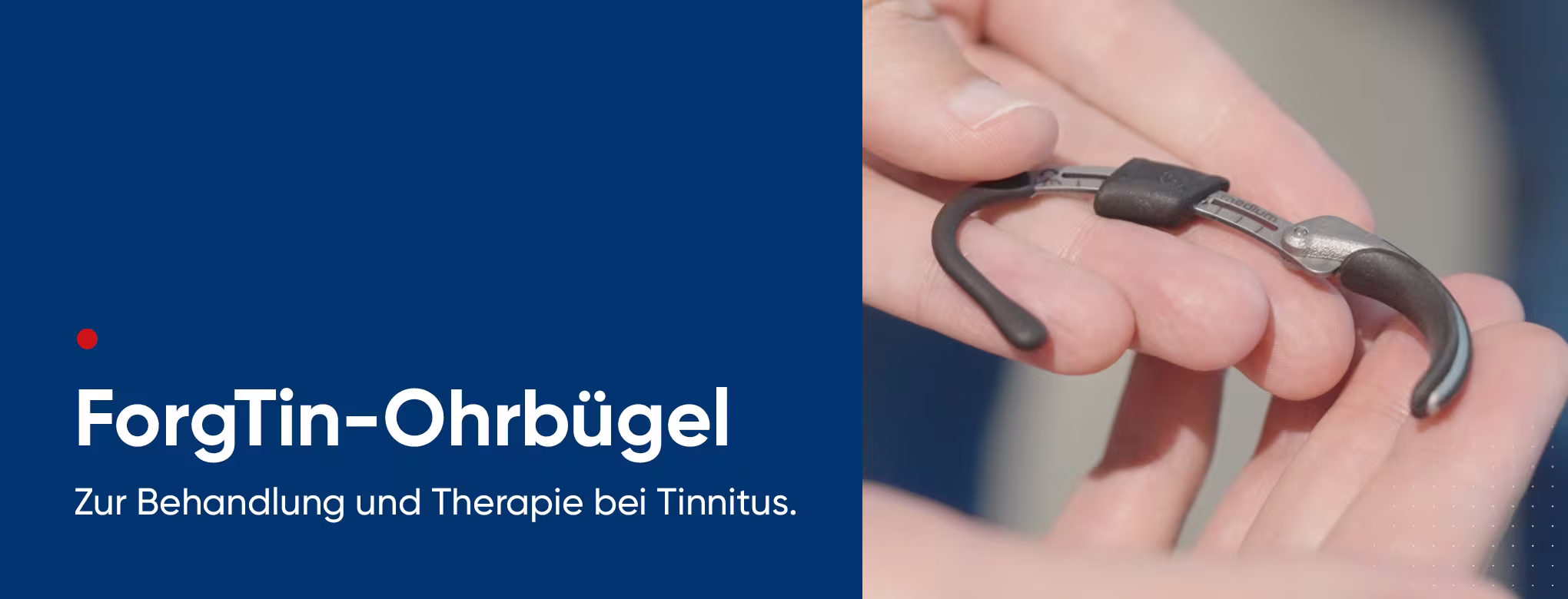 WEB_2025_10_GH_ForgTin_LP_Desktop