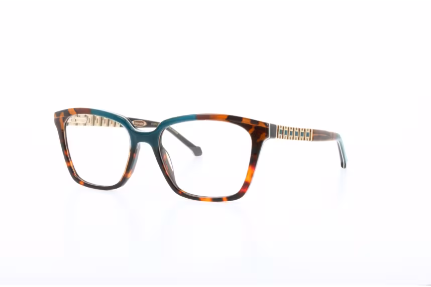 Coco Song MONGOLIAN NOMAD C2