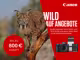 Werbegrafik von Canon: Ein Luchs steht auf einem Baumstamm in der Natur. Daneben roter Bereich mit Text &bdquo;Wild auf Angebote&ldquo;, Aktionszeitraum 9.02.&ndash;15.03.2026 und Hinweis auf bis zu 800 Euro Rabatt. Abgebildet sind eine Canon Kamera und Objektive.