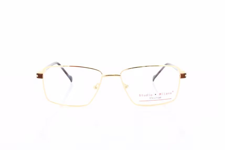 66846/2 C1 Herrenbrille Metall klassisch