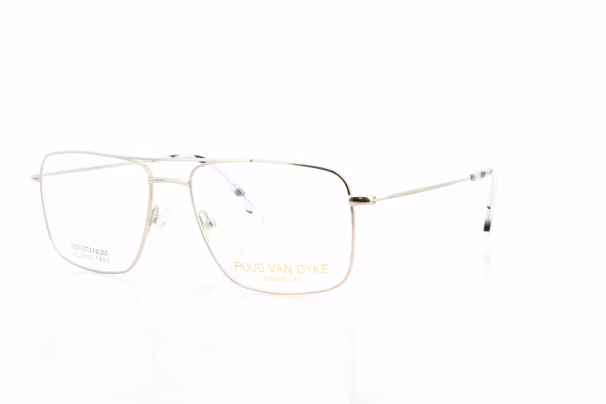 Ruud van Dyke RVD 1172T-2H Herrenbrille Titan