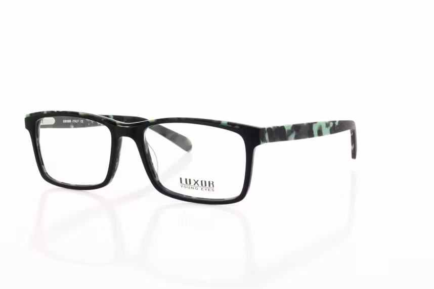 LX 296 C1 Herrenbrille Kunststoff