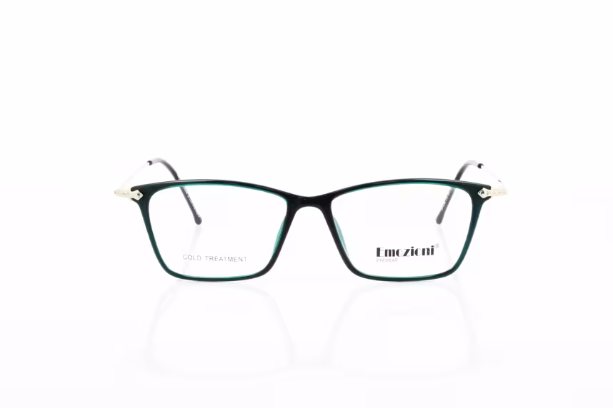EM 24-0298 C05 Kunststoffbrille