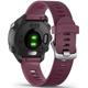 Garmin Forerunner 245 Black/Berry