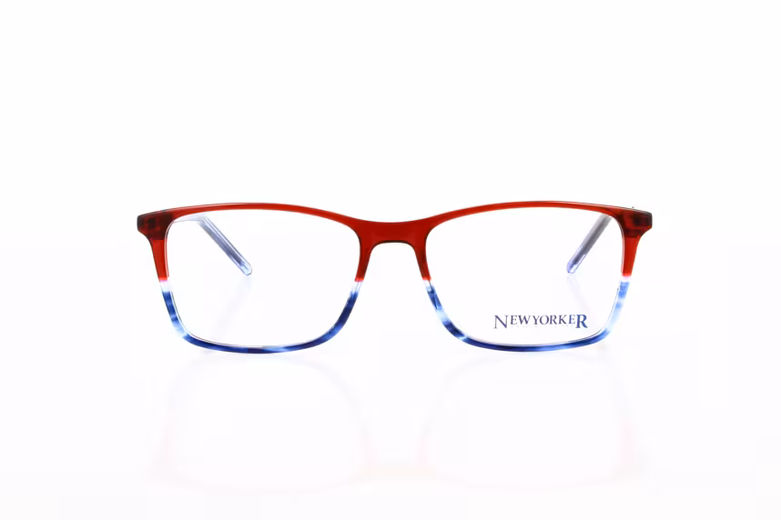 NY 509 C2 Herrenbrille Kunststoff