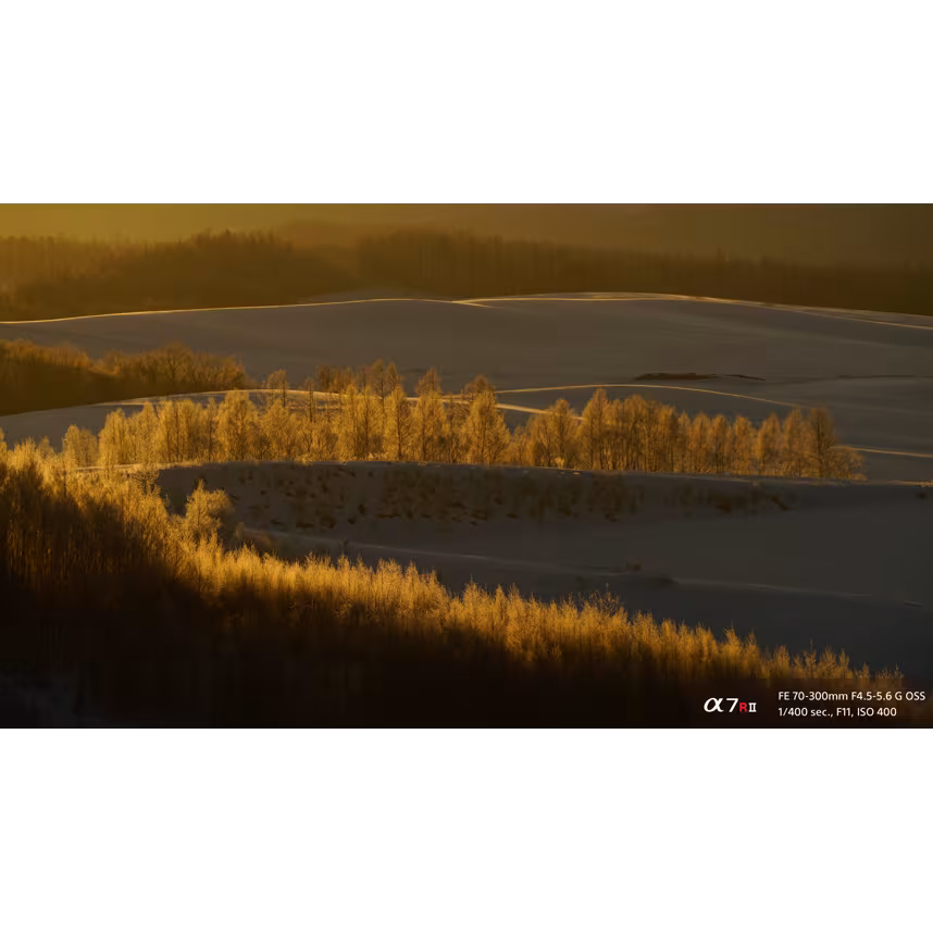 Sony SEL FE 70-300/4,5-5,6G OSS