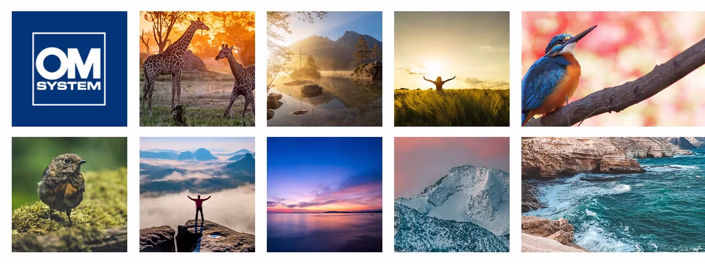 OM System Logo auf blauem Hintergrund und verschiedene Fotografien in kleinen Kästchen