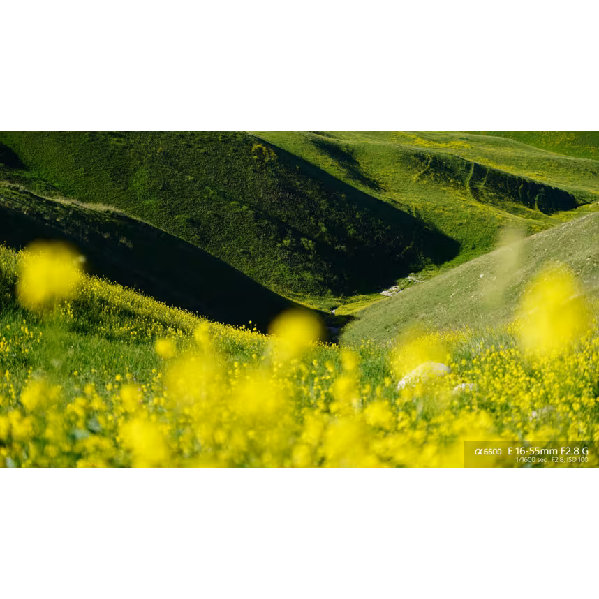 Sony SEL 16-55/2,8 G